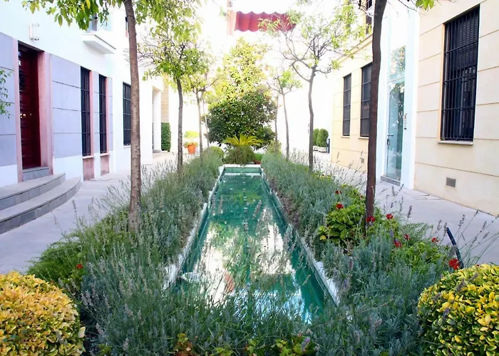 Saavedra Free Parking Center