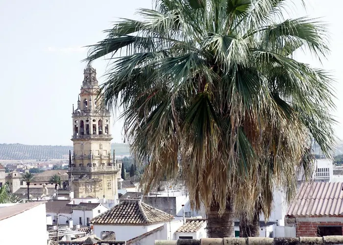 Saavedra Free Parking Center קורדובה