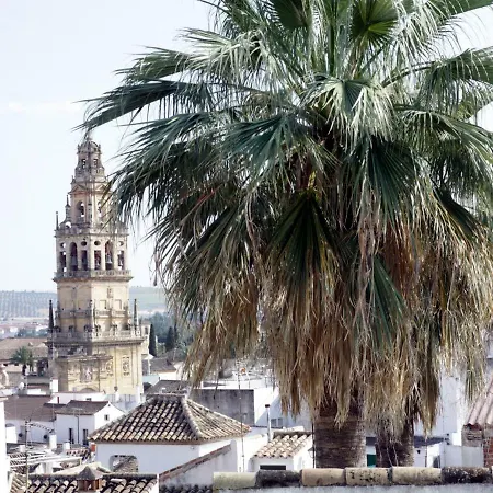 Saavedra Free Parking Center قرطبة