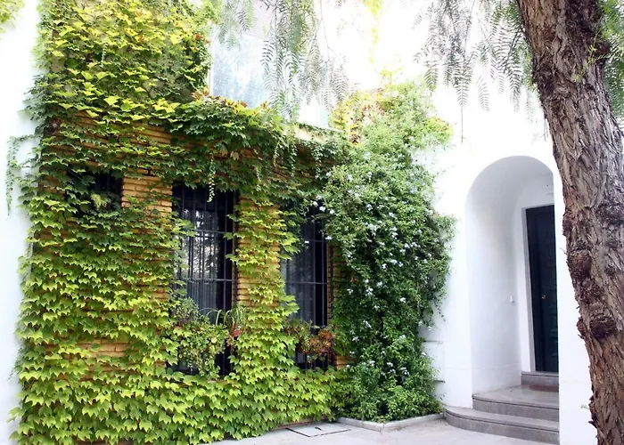 Appartement Saavedra Free Parking Center